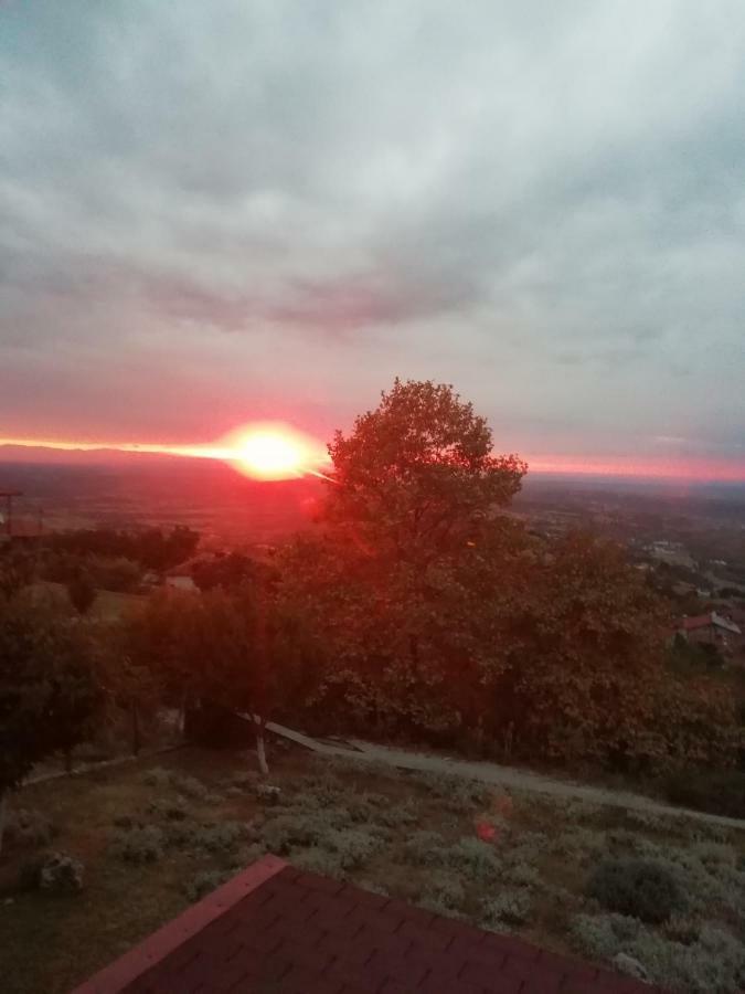 Kleio Villa Elatochori Buitenkant foto